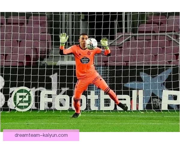 佩德里2025赛季数据分析显示其表现稳健，持续提升球队整体竞争力